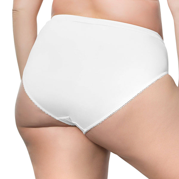 PARFAIT Micro Dressy PP306 French Cut High Waisted Sexy Sheer Panties ...